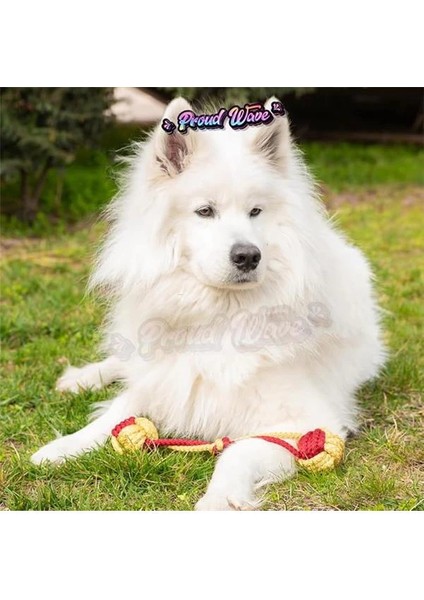 Köpek Oyuncağı Fanatik Üçlü Set Diş Ipi Diş Sağlığı Köpek Topu Sarı Kırmızı Orta Iri Irk