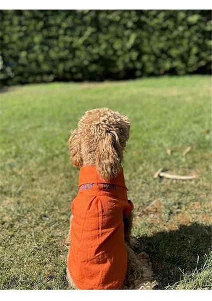Beach Bum - Turuncu Yazlık Köpek Gömleği (Küçük Irklar) (Large) indirimleri