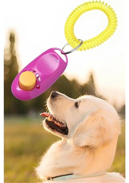 Köpek Eğitim Clicker Tasma Tuvalet Eğitimi Için Kullanılabilir Köpek Eğitim Aparatı