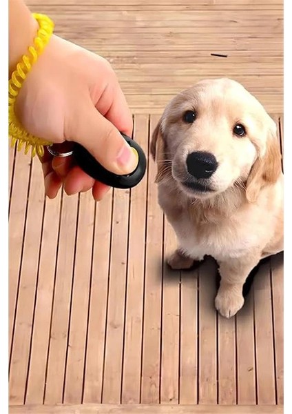 Köpek Eğitim Clicker Tasma Tuvalet Eğitimi Için Kullanılabilir Köpek Eğitim Aparatı fiyatları