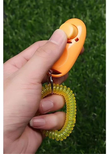 Köpek Eğitim Clicker Tasma Tuvalet Eğitimi Için Kullanılabilir Köpek Eğitim Aparatı modelleri