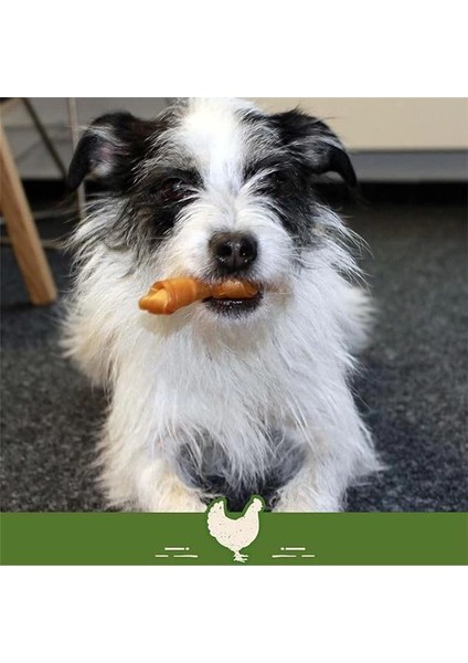 Chicken Mini Küçük Boy Tavuklu Kemik 8'li, 128 gr Köpek Ödülü indirimleri