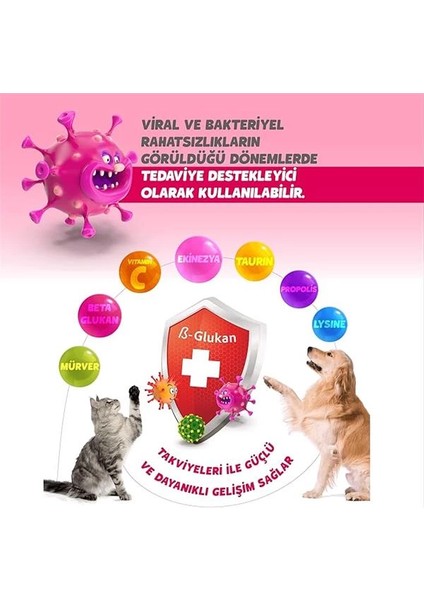 Immune+C Kedi ve Köpekler Için Bağışıklık Sistemini Destekleyici Tablet indirimleri