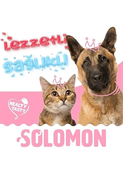 Immune+C Kedi ve Köpekler Için Bağışıklık Sistemini Destekleyici Tablet