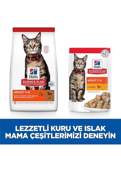 Hill's Scıence Plan Yetişkin Kuzulu Kedi Maması 8+2 kg