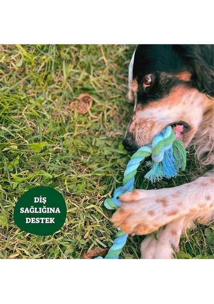 Doğal Pamuk Düğümlü Halat - Köpek Oyuncağı fırsatları