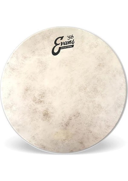 Calftone Tom 13 Inch - TT13C7 Tom Derisi