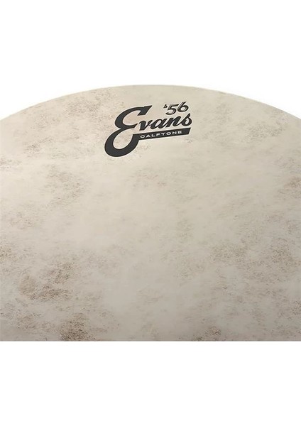 Calftone Tom 13 Inch - TT13C7 Tom Derisi fiyatları