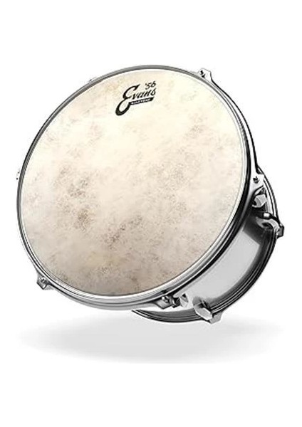 Calftone Tom 13 Inch - TT13C7 Tom Derisi