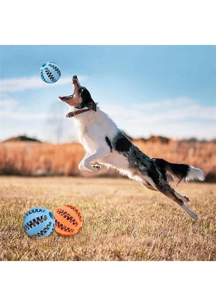 Mama Hazneli Köpek Eğitim Oyun Topu, Mama Yedirici Köpek Oyuncak Top modelleri