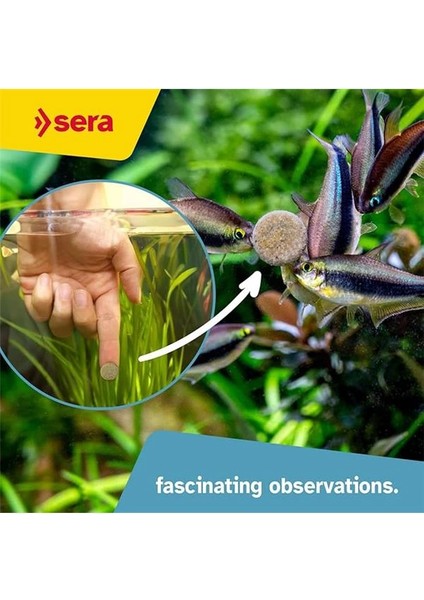 O-Nip Tablet Balık Yemi 24 Tablet fırsatları