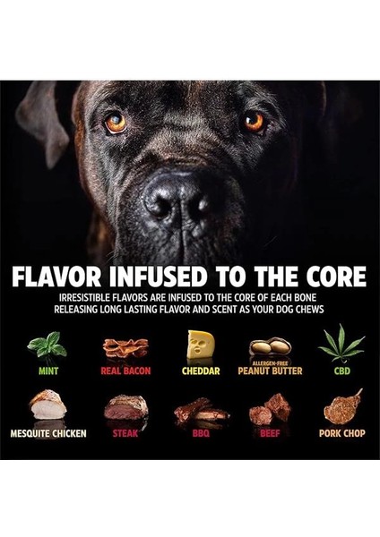 Barkbone Köpek Çiğneme Kemiği (Small) – Nane Aromalı, Bitmeyen Dayanıklı Oyuncak – Alerjensiz, Diş modelleri