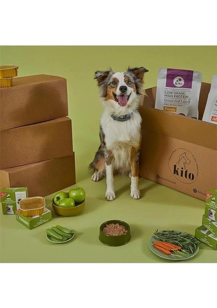 Fresh Tavuk Etli Taze Köpek Yemeği, 250GR modelleri