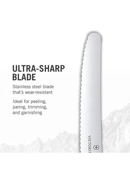 Vt 6.7839.6G Swiss Classic 6 Renkli Domates Bıçağı Seti 11 cm modelleri