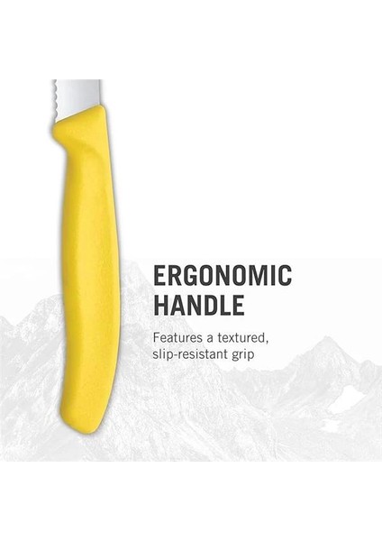 Vt 6.7839.6G Swiss Classic 6 Renkli Domates Bıçağı Seti 11 cm fırsatları