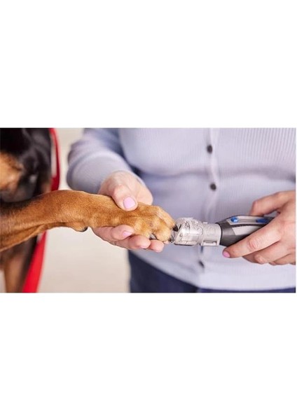 Evcil Hayvan Tırnak Bakımı Koruyucu Başlık Kiti Bağlantı Parçası (AT02-PGK), Kedi ve modelleri