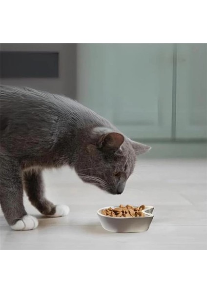 Seramik Kedi Şeklinde Ödül Kabı | Sevimli Evcil Hayvan Mama Kabı | 200 ml Kapasiteli, Yavru Kediler