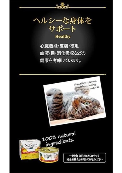 Yetişkin Kedi Konservesi 70 gr Ton Balıklı + Somonlu