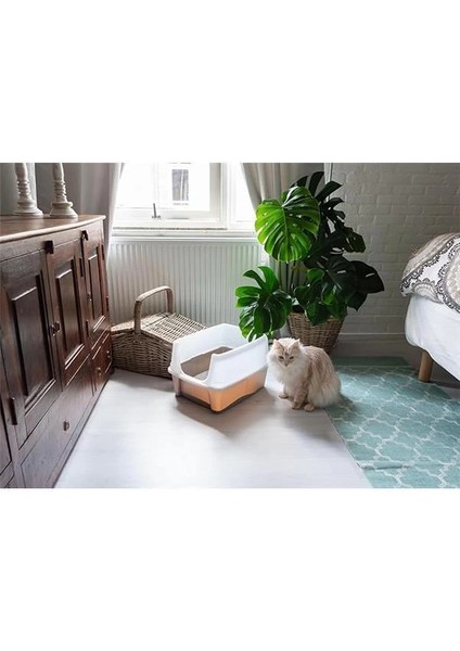 , Kedi Tuvaleti/kedi Tuvaleti Yüksek Kenarlı, Dağılmaz, Çıkarılabilir Yüksek Kenar, Giriş fiyatları