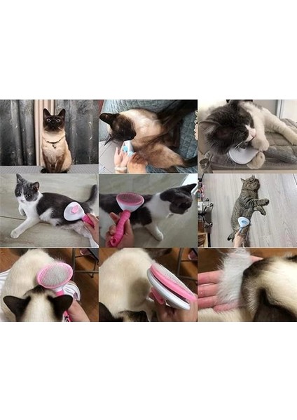 Kedi Köpek Tarağı Tüy Temizleme Otomatik Temizlenen Tüy Tarağı Kendi Kendini Temizleyen Masaj modelleri