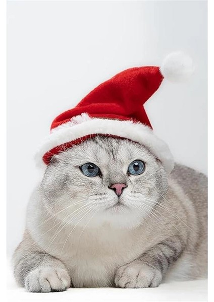 Yeni Yıl Kedi Şapkası Lastikli Yılbaşı Şapkası Yetişkin Kedi (Yetişkin)