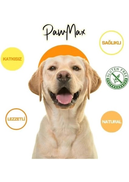 Pawcrunch Glutensiz Köpek Ödülü – Orta ve Büyük Irklar Için Pati Şeklinde Sağlıklı fırsatları