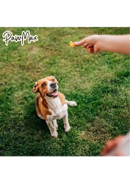 Pawcrunch Glutensiz Köpek Ödülü – Orta ve Büyük Irklar Için Pati Şeklinde Sağlıklı