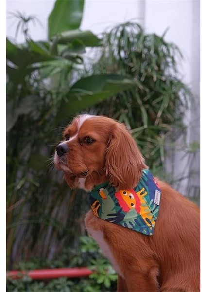 Hayvan Desenli Köpek Fuları Bandanası Köpek Kıyafeti Yeşil Xs fiyatları