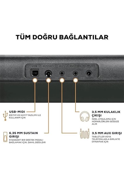 Melody 61 Başlangıç Seviyesi Piyano Elektronik Org Klavye, 61 Tuş, Hoparlör, Stand, Bank