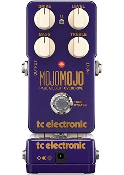 Mojomojo Paul Gılbert Edıtıon