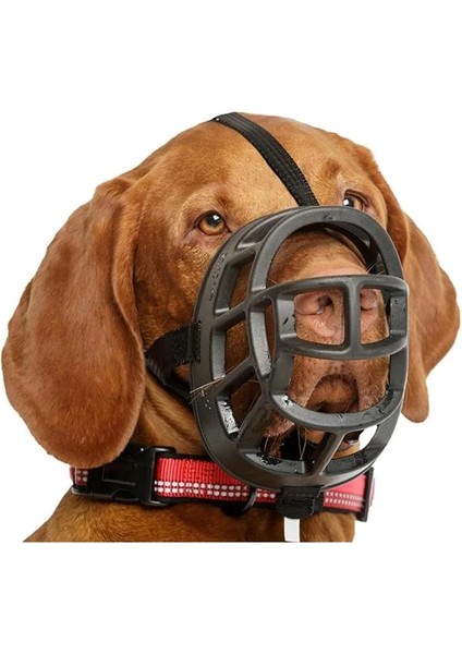 Baskerville Ultra Ağızlık, Boyut 4 fırsatları