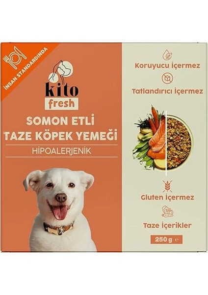 Fresh Somon Etli Taze Köpek Yemeği, 250GR