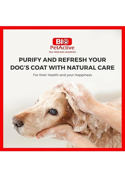 Petactive Çayağacı Özlü Köpek Şampuanı 400 ml fiyatları