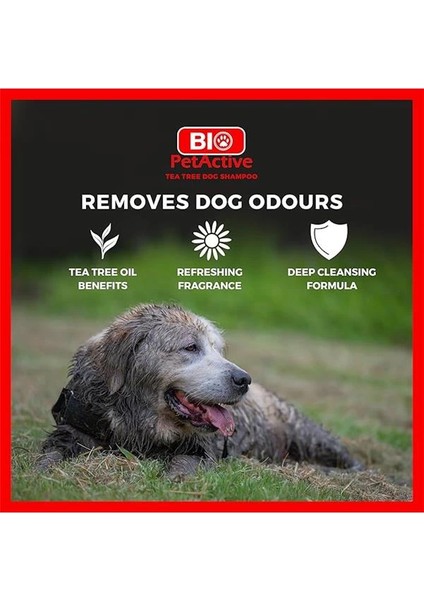 Petactive Çayağacı Özlü Köpek Şampuanı 400 ml fırsatları