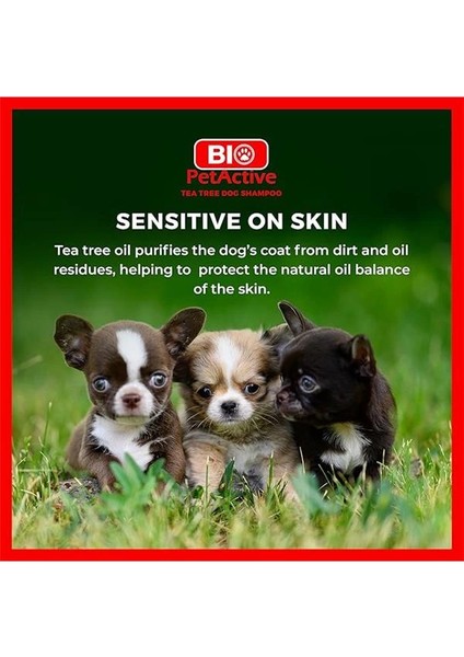 Petactive Çayağacı Özlü Köpek Şampuanı 400 ml indirimleri