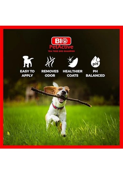 Petactive Çayağacı Özlü Köpek Şampuanı 400 ml