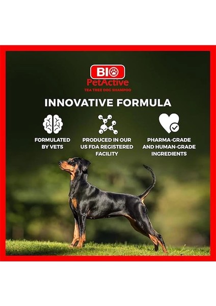Petactive Çayağacı Özlü Köpek Şampuanı 400 ml