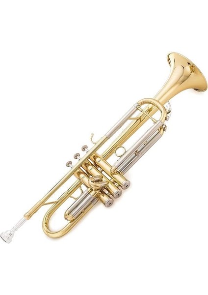 Paul TR-330 Öğrenci Bb Trompet - Pirinç Lake modelleri
