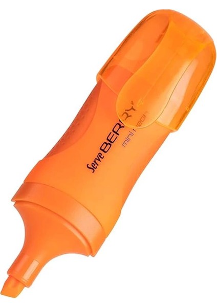 Berry SV-BRMFKP6FR Mini Fosforlu Kalem, Neon, 6'lı Pet, Karışık Renk fırsatları