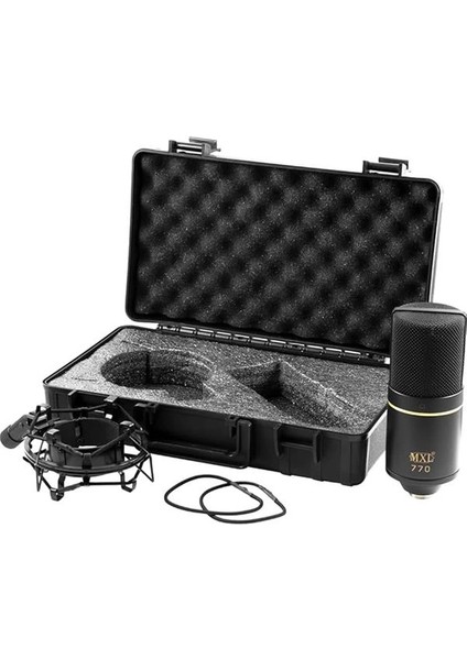 770 | Vokal, Enstrüman, Youtuber, Instagram, Tiktok & Podcast Için Kondenser Mikrofon modelleri