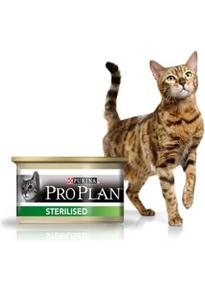 Sterilised Somonlu Kısırlaştırılmış Yetişkin Yaş Kedi Konservesi - 85 gr (24 Adet) fiyatları