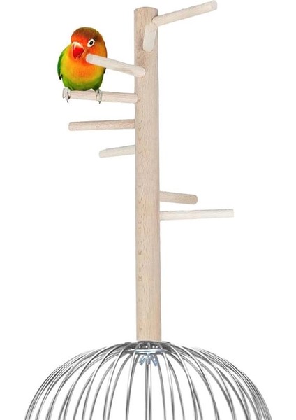 X-Perk Ağaç Sopalı Kuş Merdiveni Tüneği Kuş Parkuru Tünek Döner Kuş Merdiven Boy 30 cm fırsatları