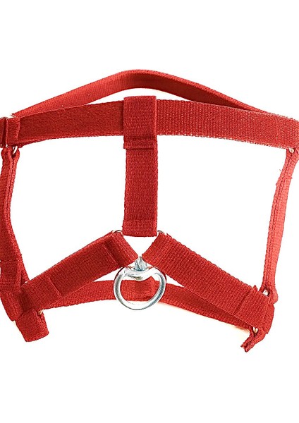 Koton At Yuları fiyatları