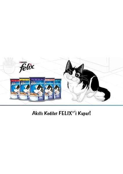 Çifte Lezzet Sığır & Tavuklu Kedi Yaş Mama (26 x 85 Gr) modelleri