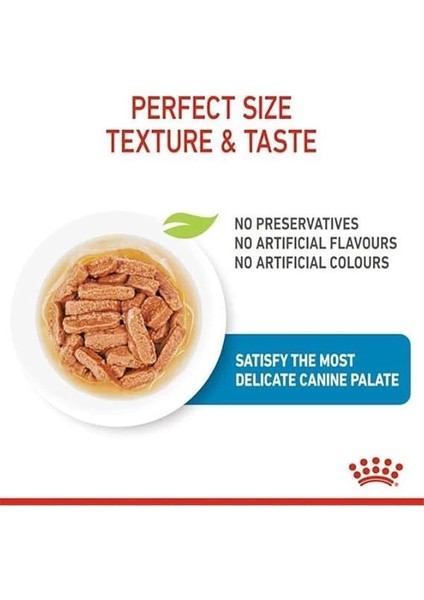 Medium Puppy Gravy Yavru Köpek Yaş Maması 140 gr x 10 Adet