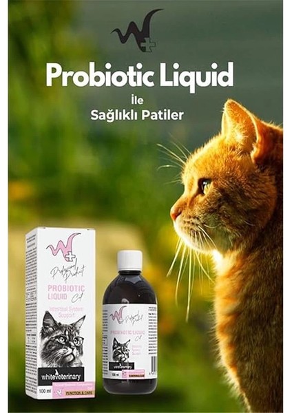 Kediler Için Sindirim Sistemi Destekleyici Probiyotik Liquid 100 ml fırsatları