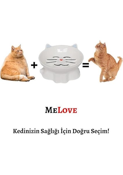 Melove Porselen Yavaş Yeme Mama Kabı (Sky) modelleri