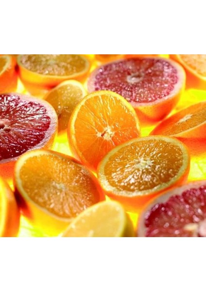 Narenciye Sıkacağı Aparatı AT312 - Mutfak Şefi Aksesuarı, 600 ml Yüksek Hız Çıkışı, Paslanma fiyatları