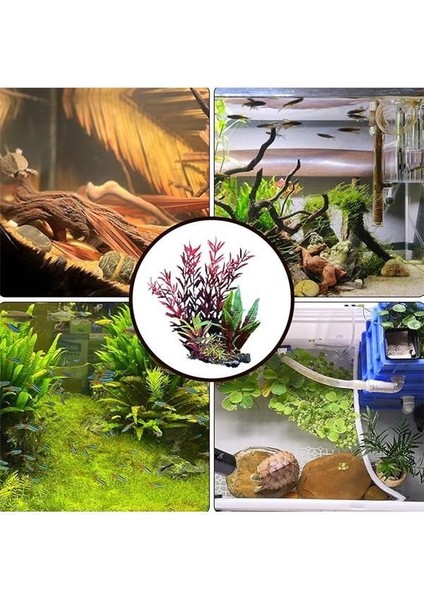 Akvaryumlar Için Bitkiler - Çevre Dostu Sahte Su Tesisleri,akvaryum, Otel Lavabo, Restoran modelleri