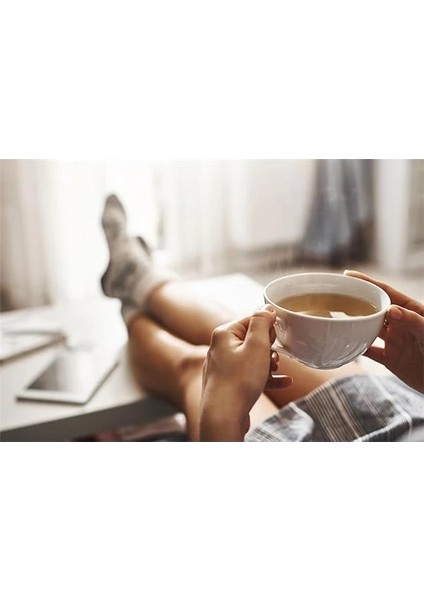 Vintage 1.7 Litre Kettle Bej